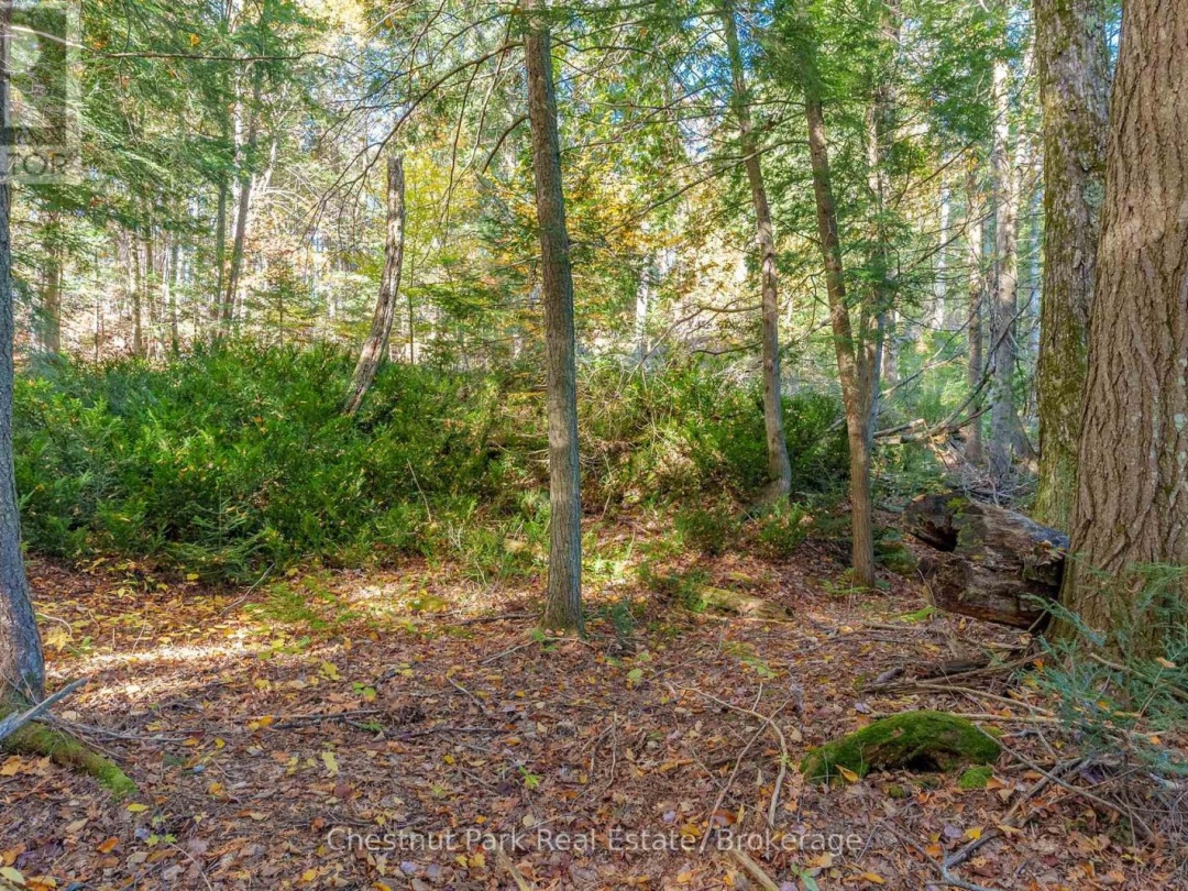 1031 Carl Fisher Drive, Bella Lake
