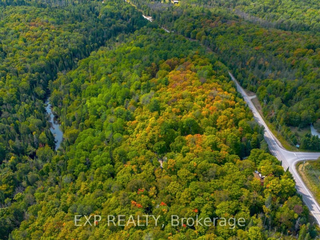 10282 COUNTY ROAD 503, 
