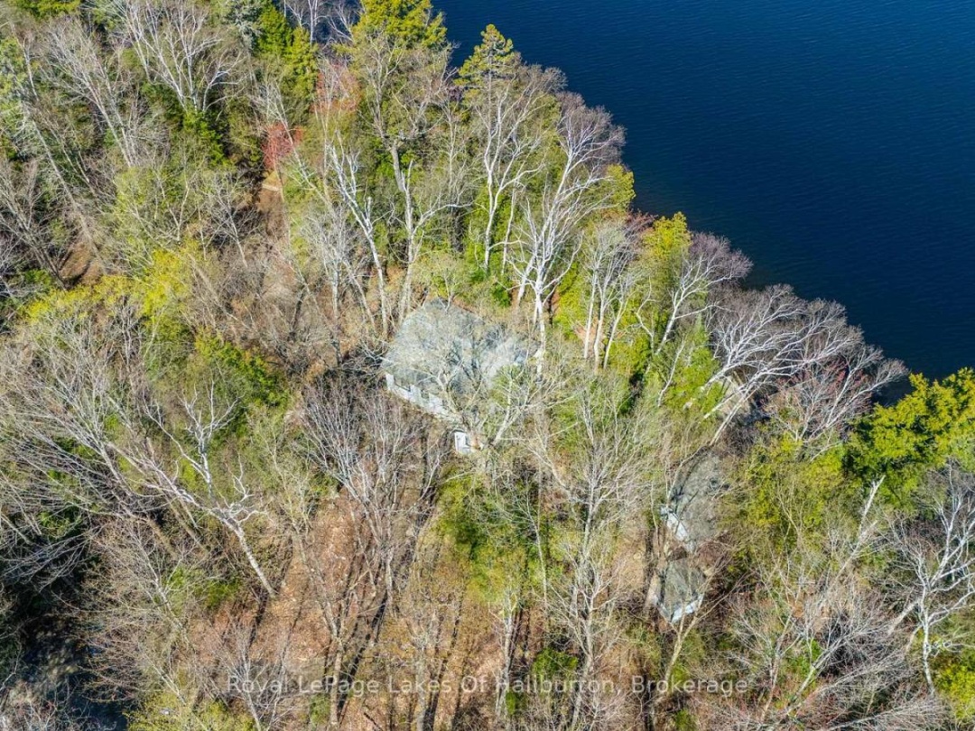 1096 Reg's Trail, Drag Lake