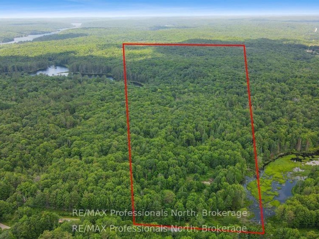 1134 WALKERS LINE ROAD, 