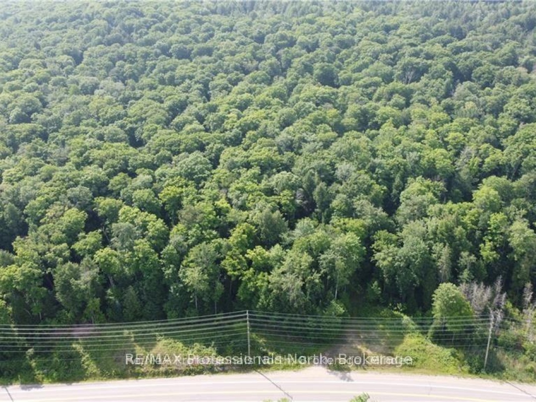3944 County Road 21 Highway, Minden Hills