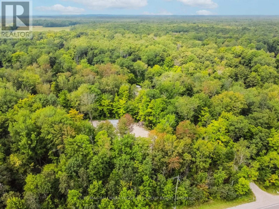 7012 COUNTY ROAD 169, 