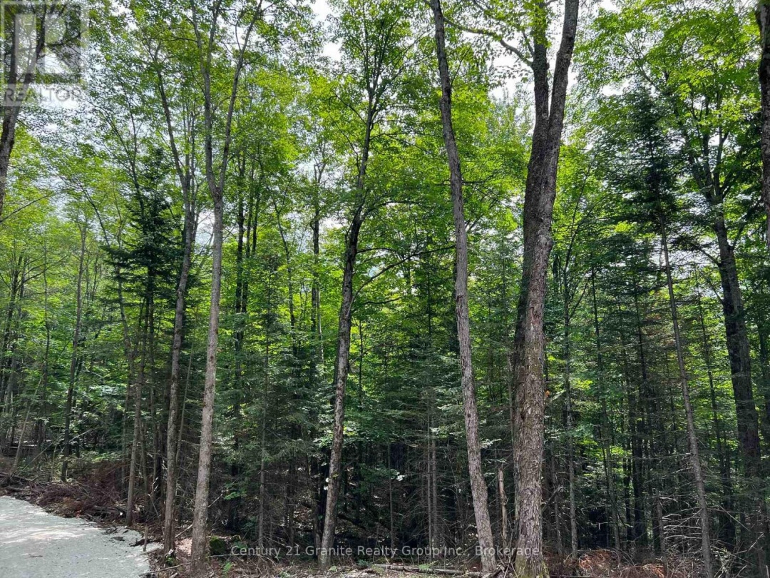 LOT 26 WEST COURT, 