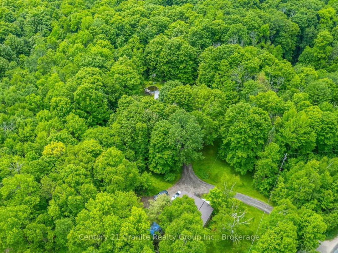 1553 KUSHOG LAKE ROAD, 