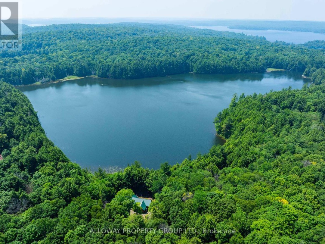 1211 BIRCHY LAKE DRIVE, 