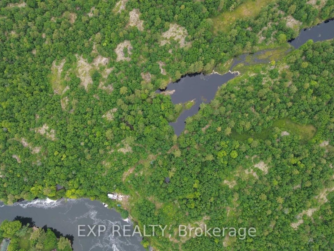 3950 Severn River Shore, Trent Severn