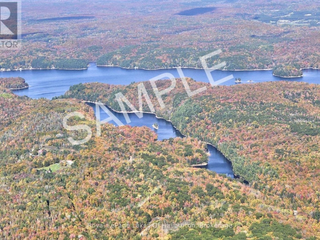 1117 Trellis Trail, Bob Lake