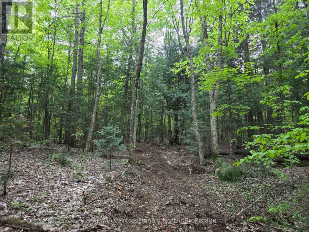 0 25Th Line Road, Algonquin Highlands (Stanhope)