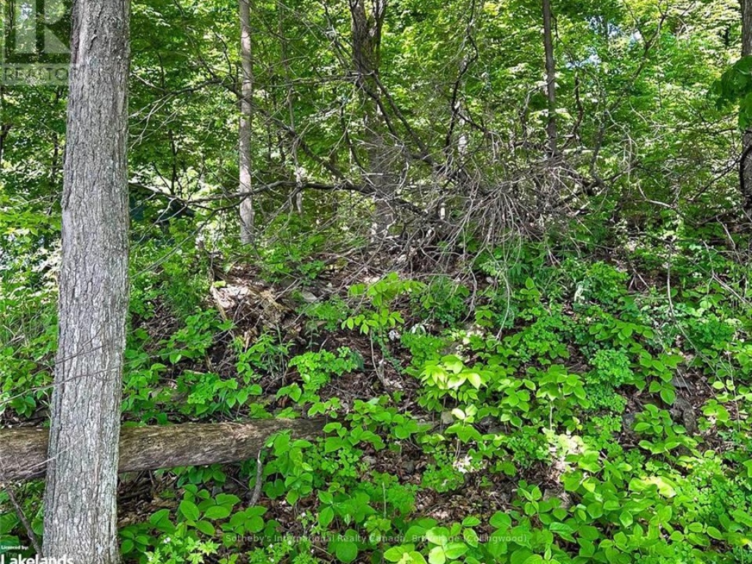 1460 Island 404/Quarry, Georgian Bay