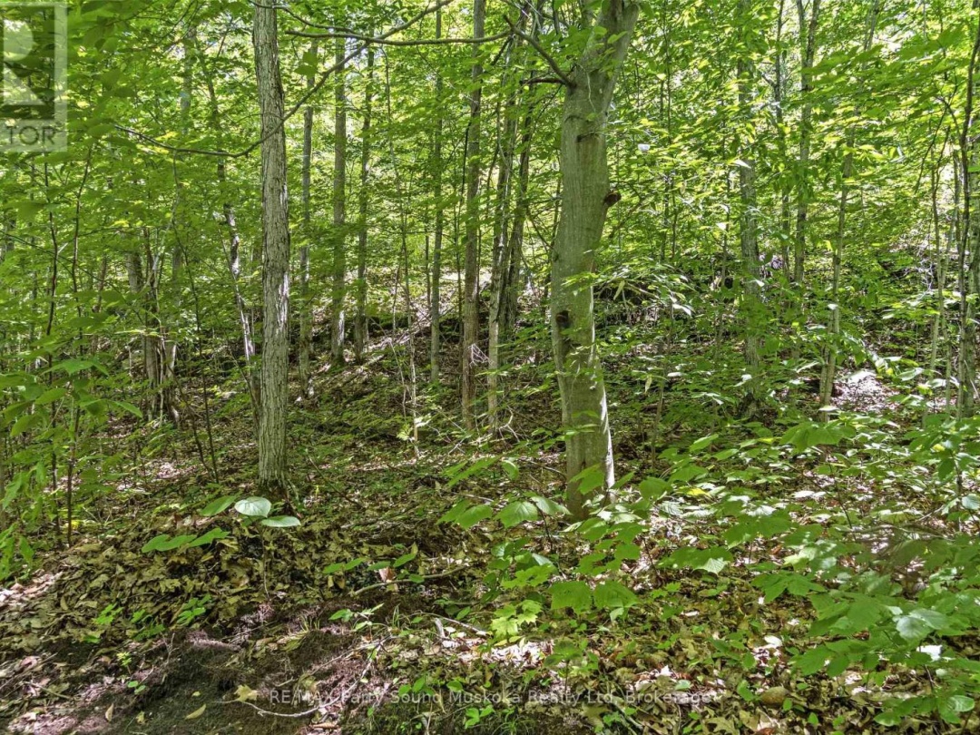 34B BELL LAKE ROAD, 