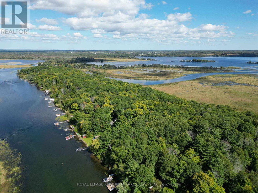 34 Deweys Island, Cameron Lake