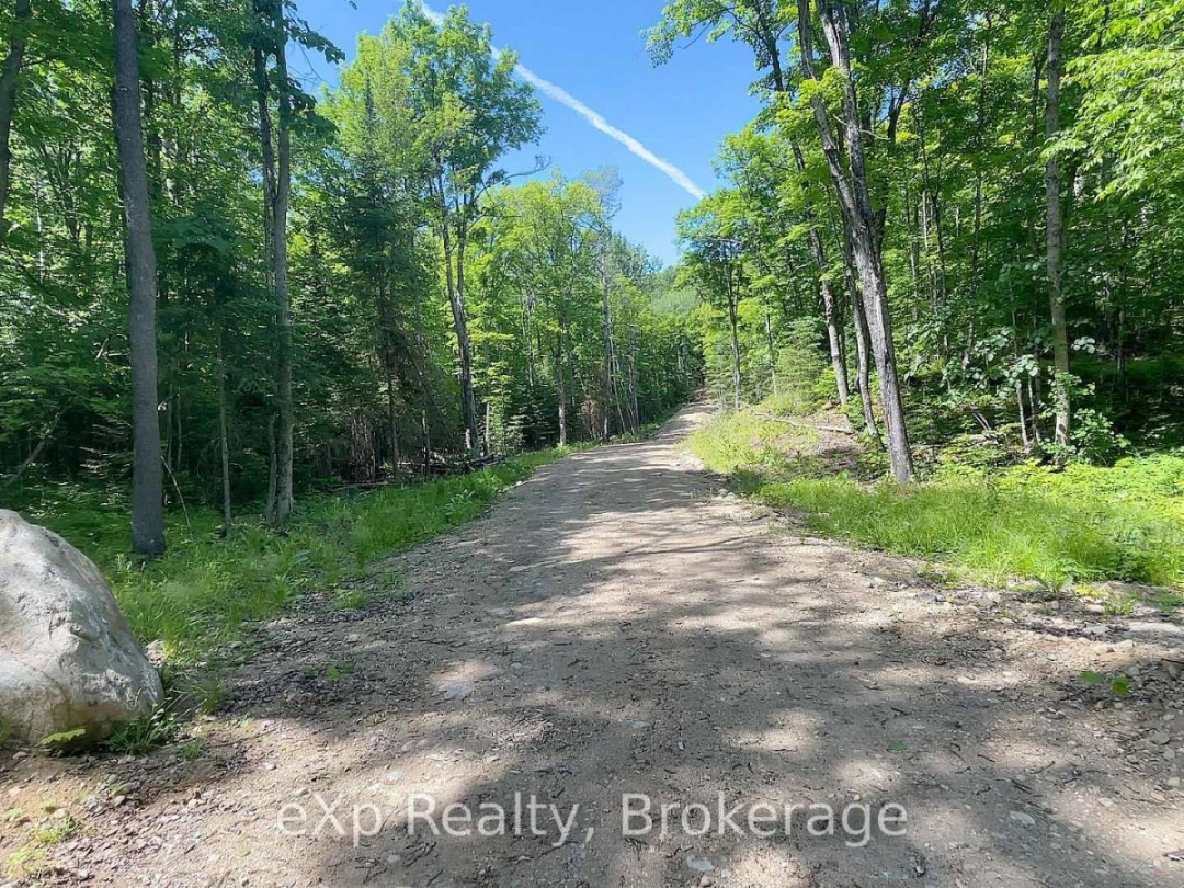 Lot # 4 Gonnsen Trail, Drag Lake
