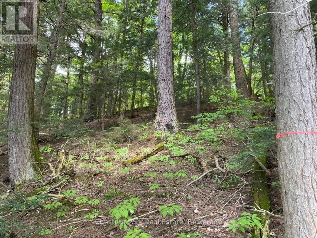 0 MINNOW DRIVE, Kennisis Lake