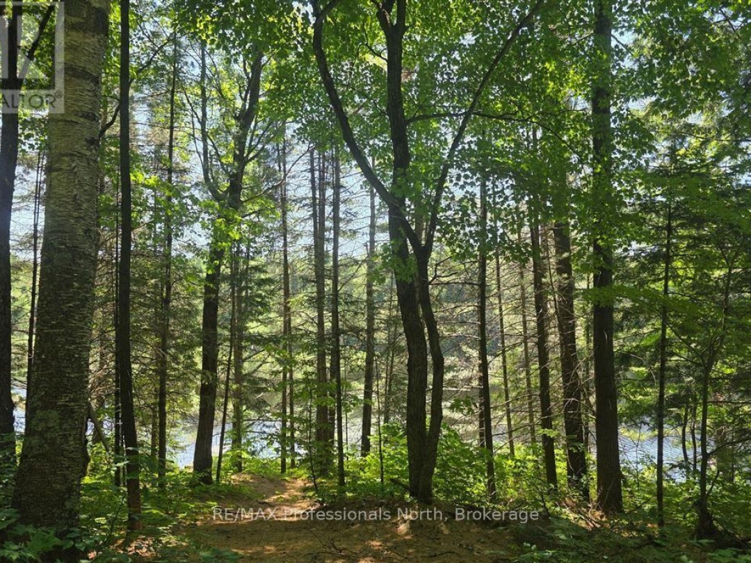 1134 WALKERS LINE ROAD, 