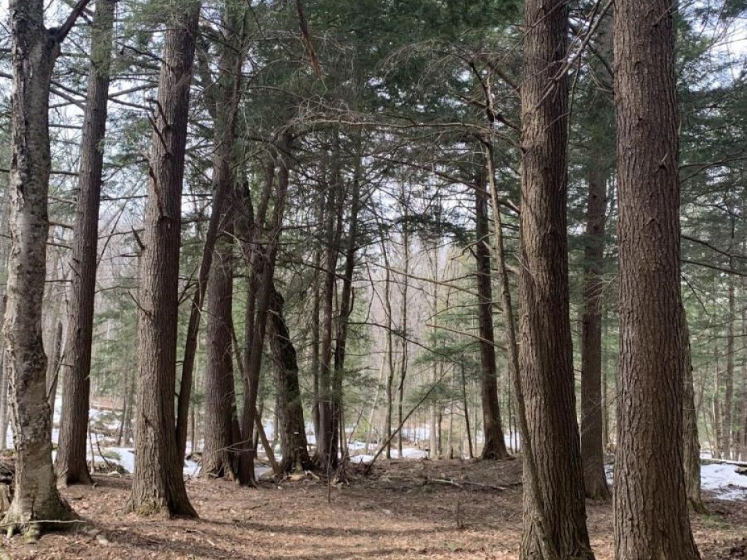 0 KASHAGAWIGAMOG LAKE ROAD, 