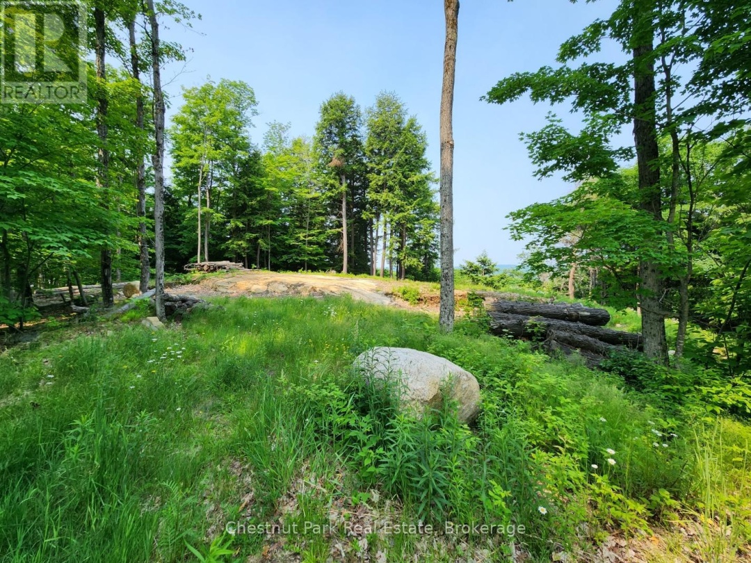 19 OLD HEMLOCK TRAIL, 