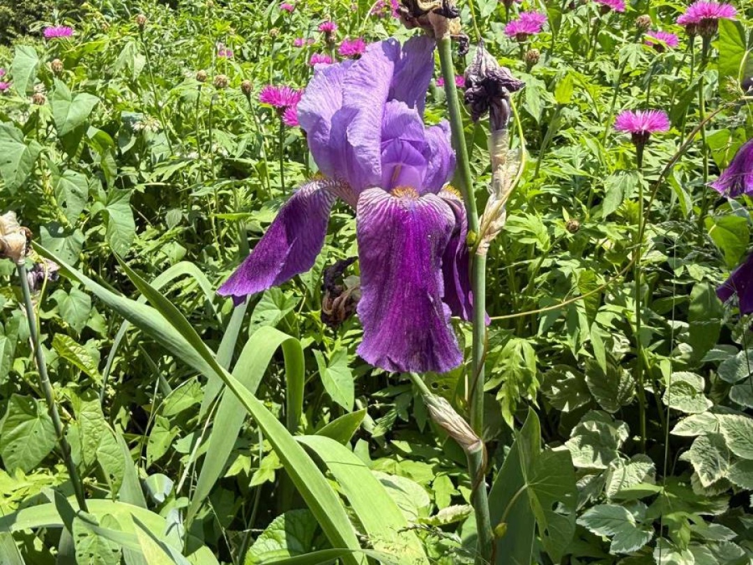 5 GOVERNMENT DOCK ROAD,