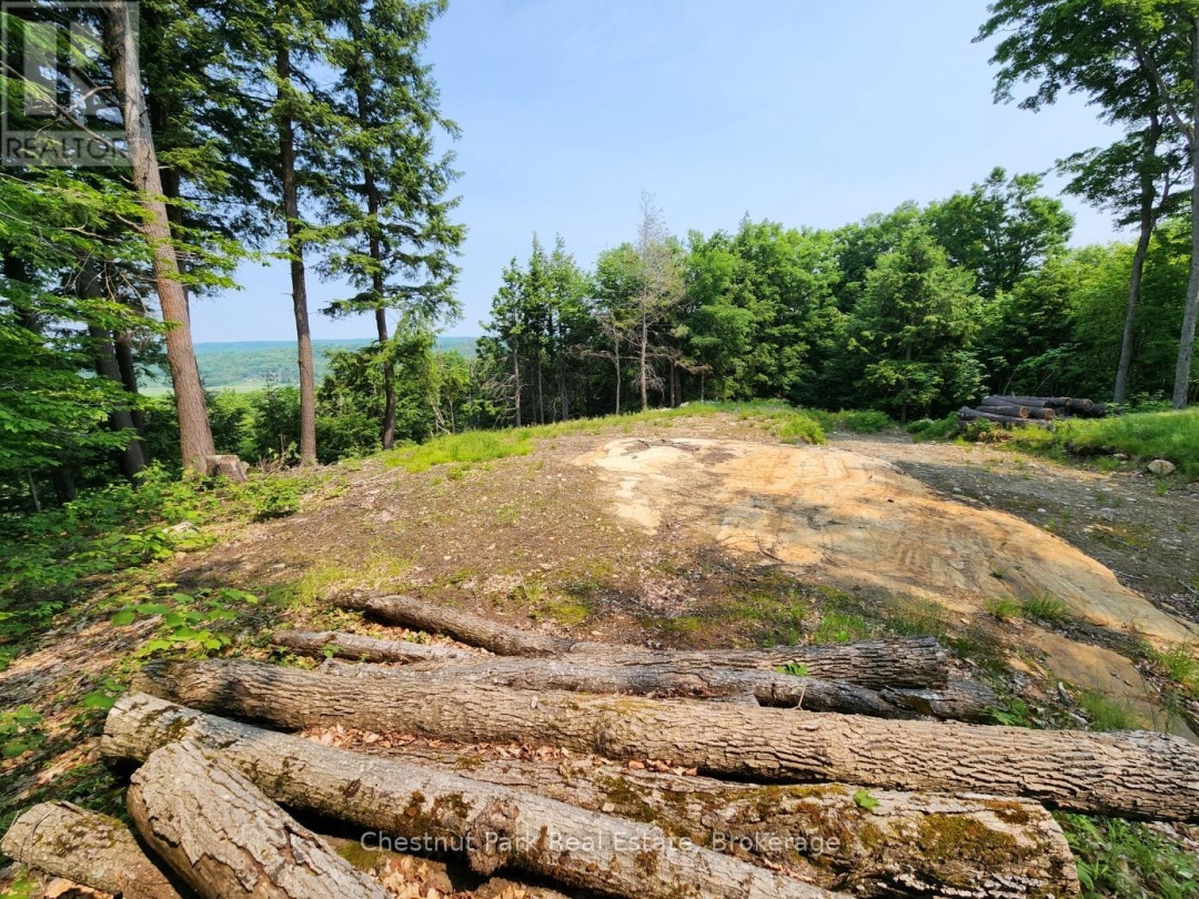19 OLD HEMLOCK TRAIL, 