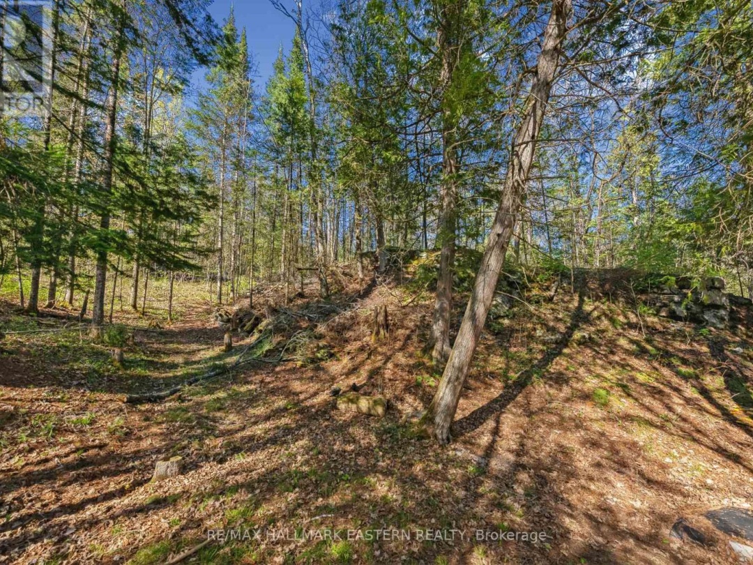1025 Dickies Lane, Gooderham Lake