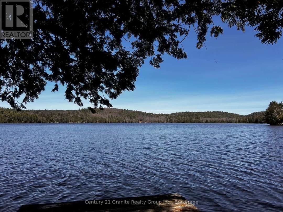 1208 Reg's Trail, Drag Lake