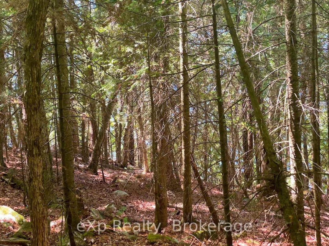 Lot # 4 Gonnsen Trail, Drag Lake
