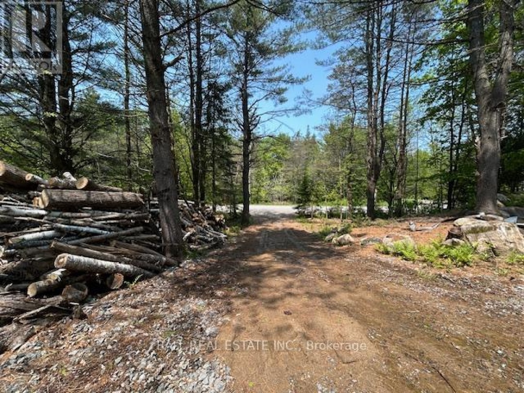 CON 6 PTLT11 KENNISIS LAKE ROAD, 