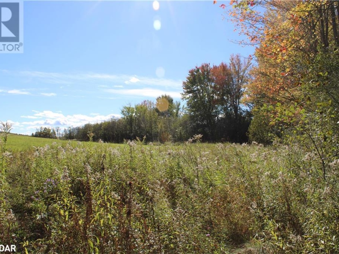 388 Woodland Drive, Oro-Medonte