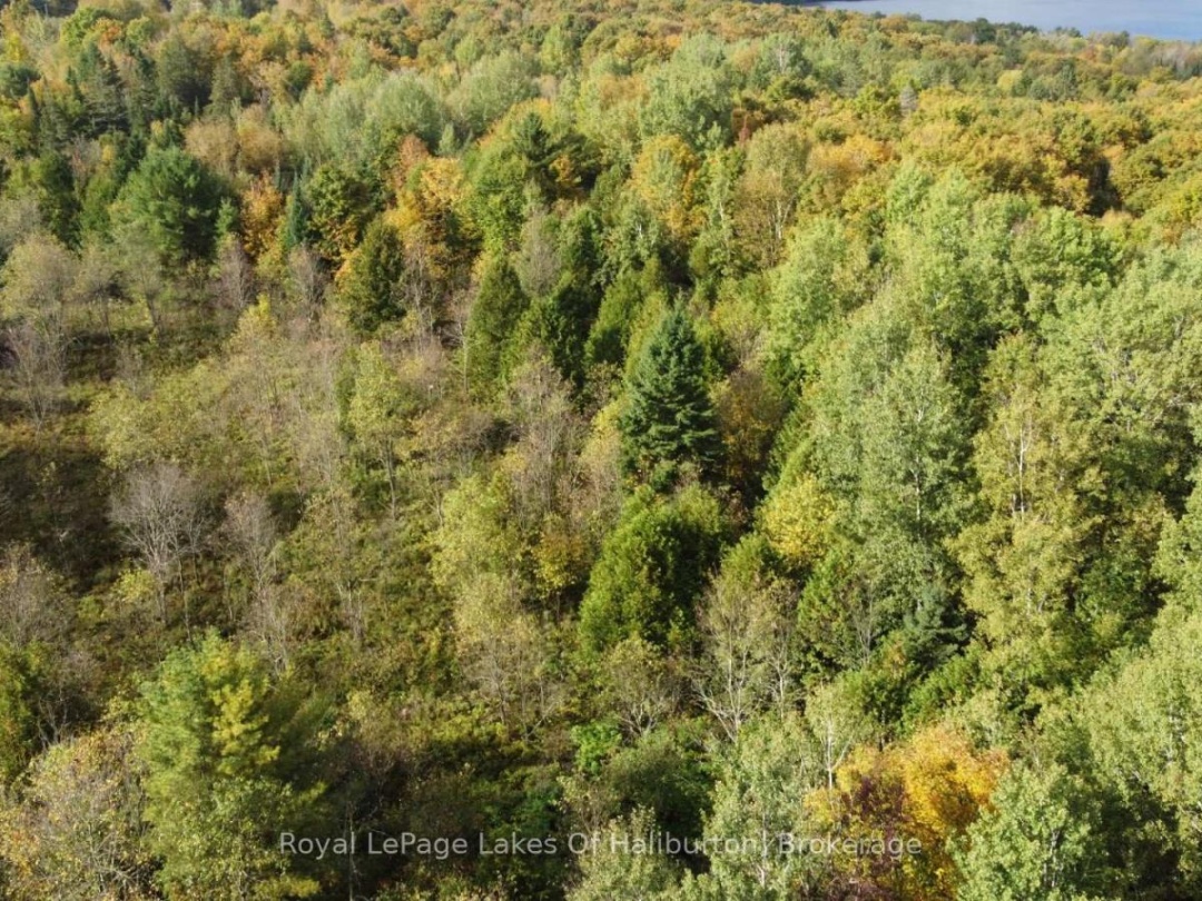 Lot 67 Chelsea Lane, Maple Lake