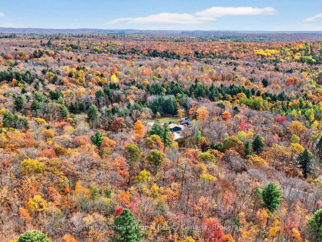 1132 LIMBERLOST ROAD, 