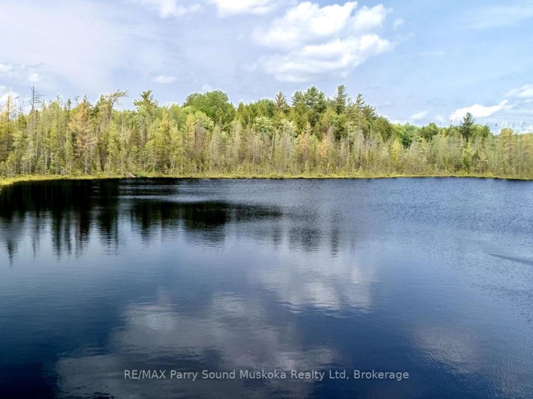372 MCDOUGALL ROAD, 