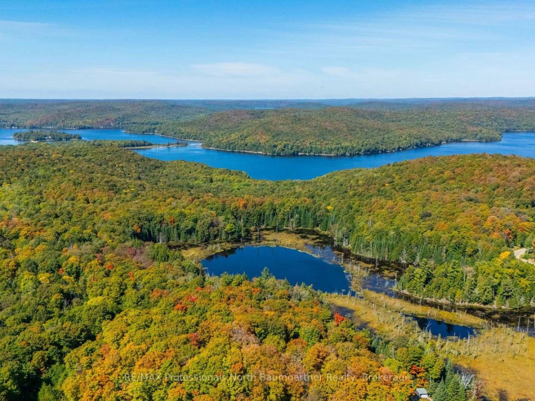 1566 WEST SETTLEMENT ROAD, 