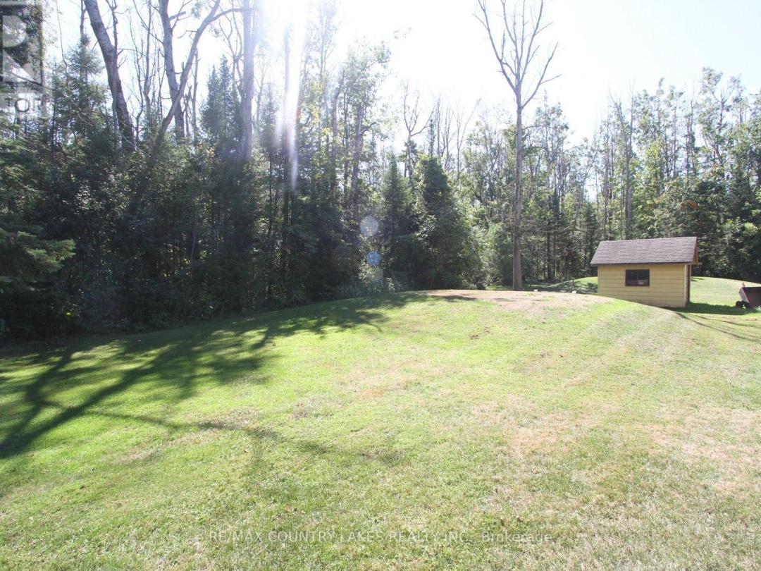 62 PARADISE ROAD, 