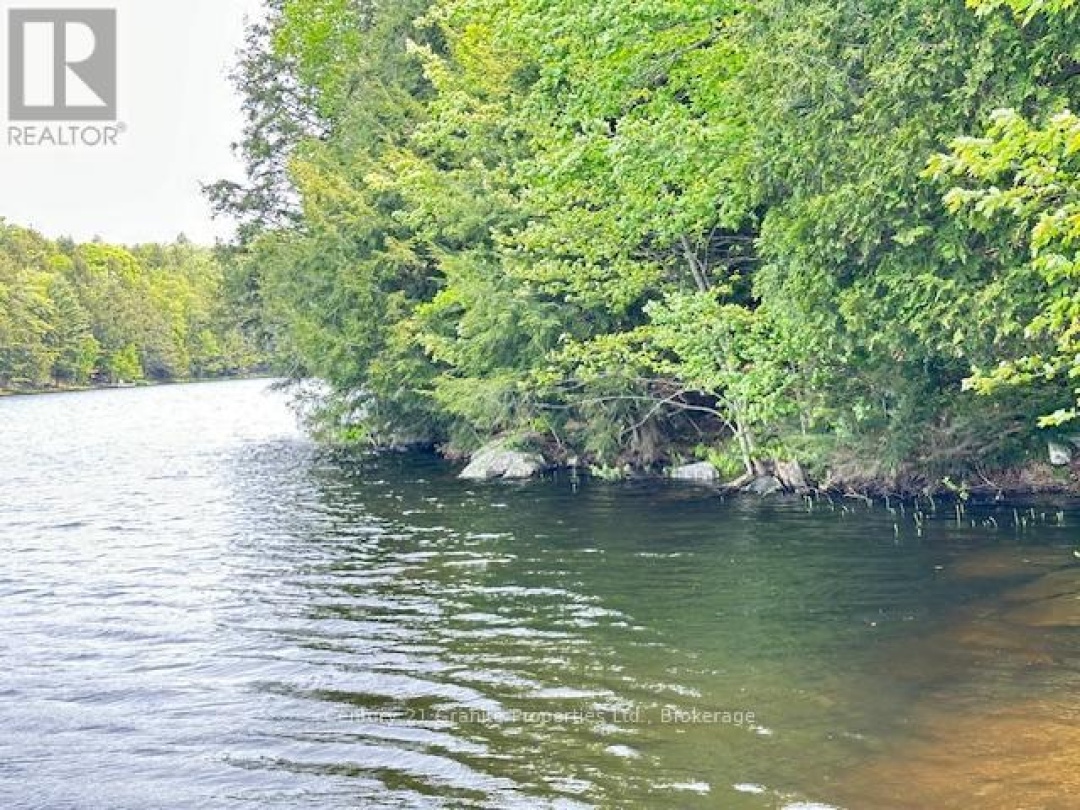 4 TURTLE LANE, 