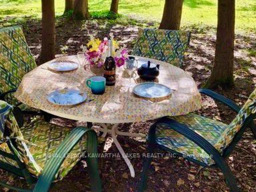 81 Mcguire Beach Road, Trent-severn Waterway