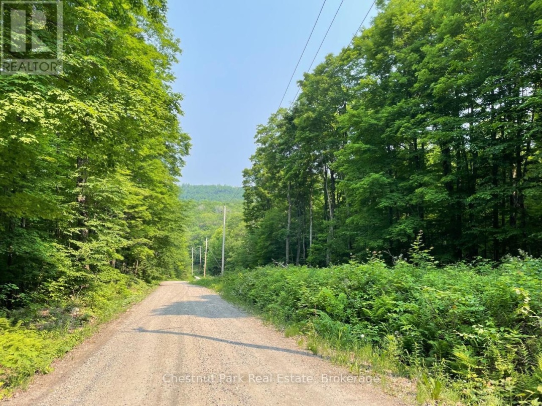 0 COLEMAN LAKE ROAD, 