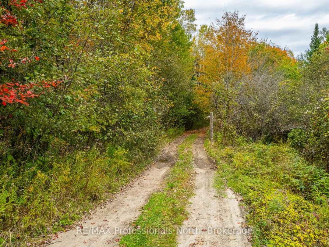 1600 BOBCAYGEON ROAD, 