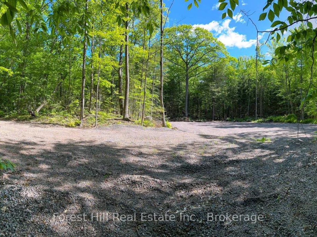 1066 SOUTH MULDREW LAKE ROAD, 