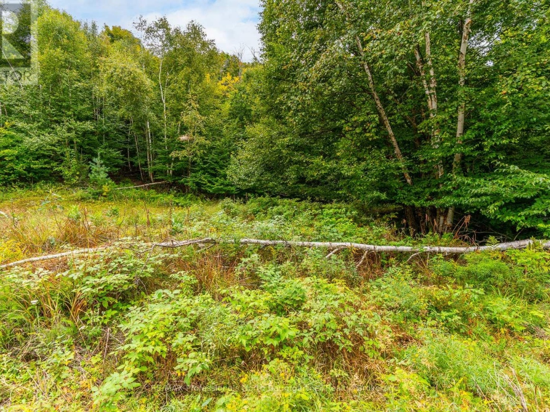0 ADELINE TRAIL TRAIL, 