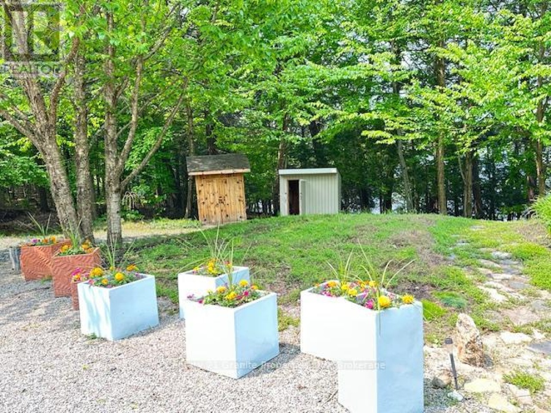 4 TURTLE LANE, 
