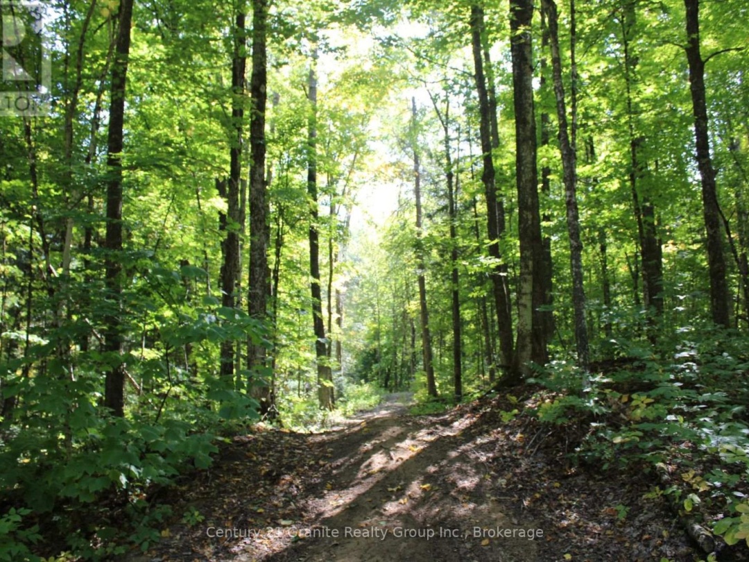1295 BINSCARTH TRAIL, 