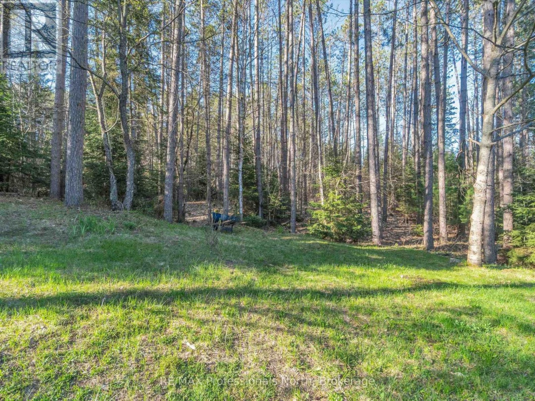 1273 Williamsport Road, Big East Lake