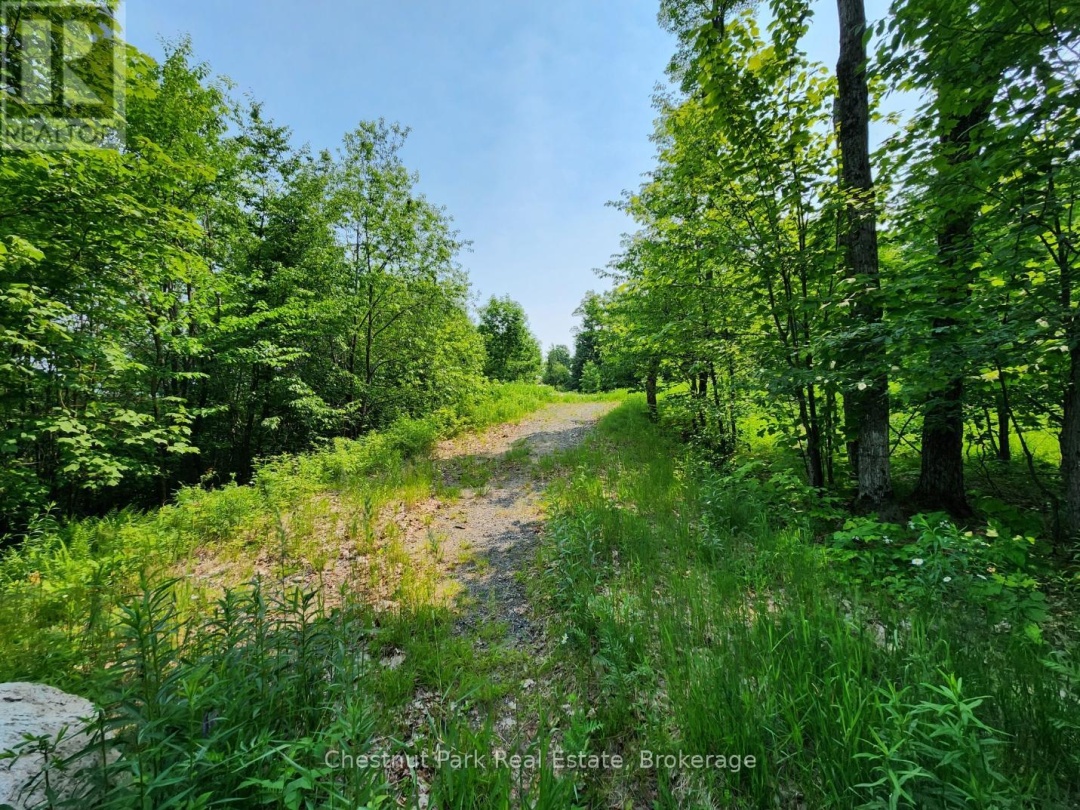 19 OLD HEMLOCK TRAIL, 