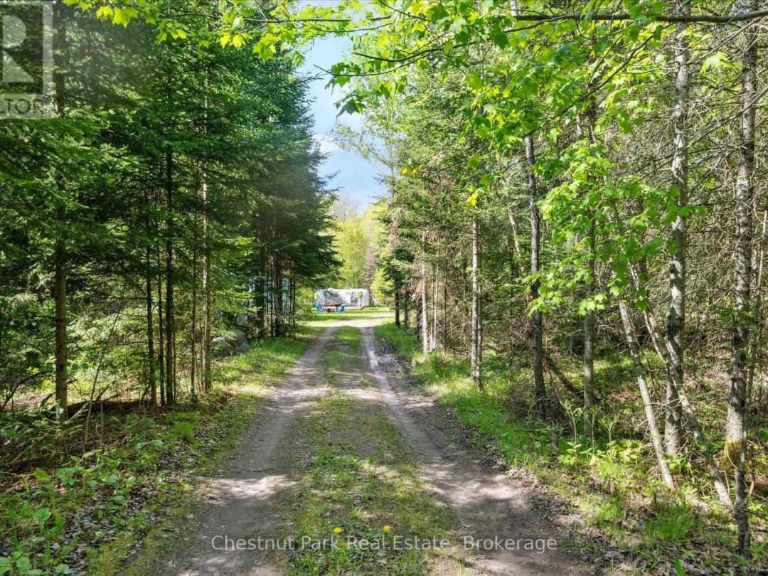 216 BLACKWATER LAKE ROAD, Seguin