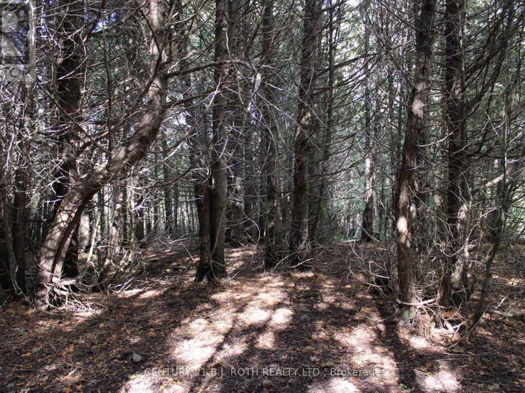 388 WOODLAND DRIVE, Oro-Medonte