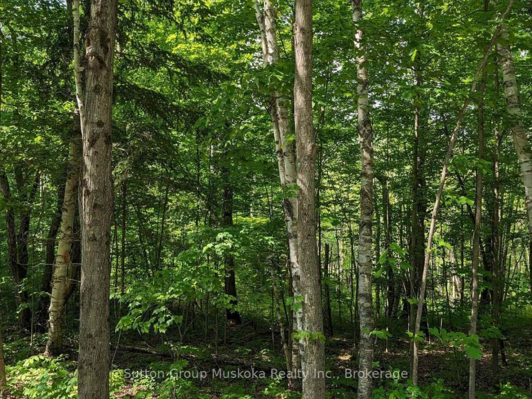 LOT 1 TALLY-HO WINTER PARK ROAD,