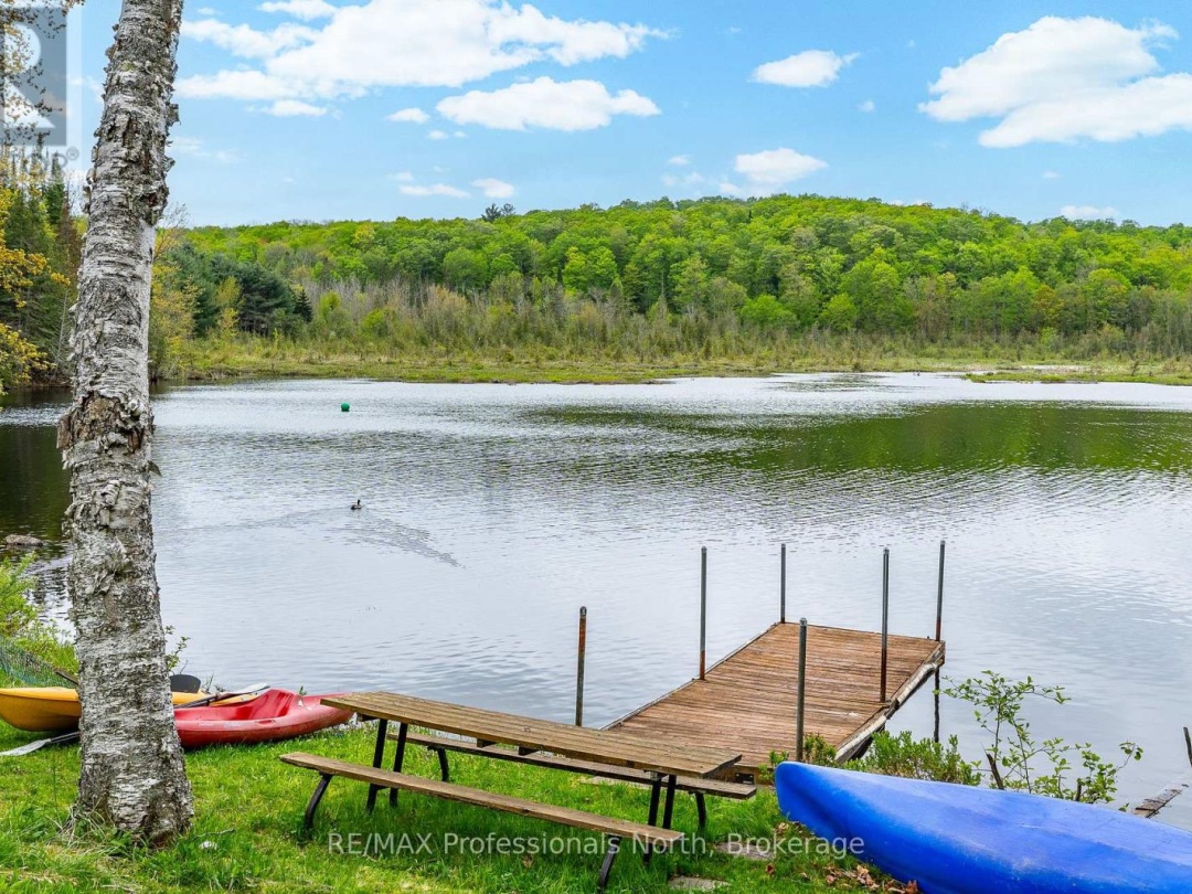 3539 COUNTY ROAD 21, Soyers Lake