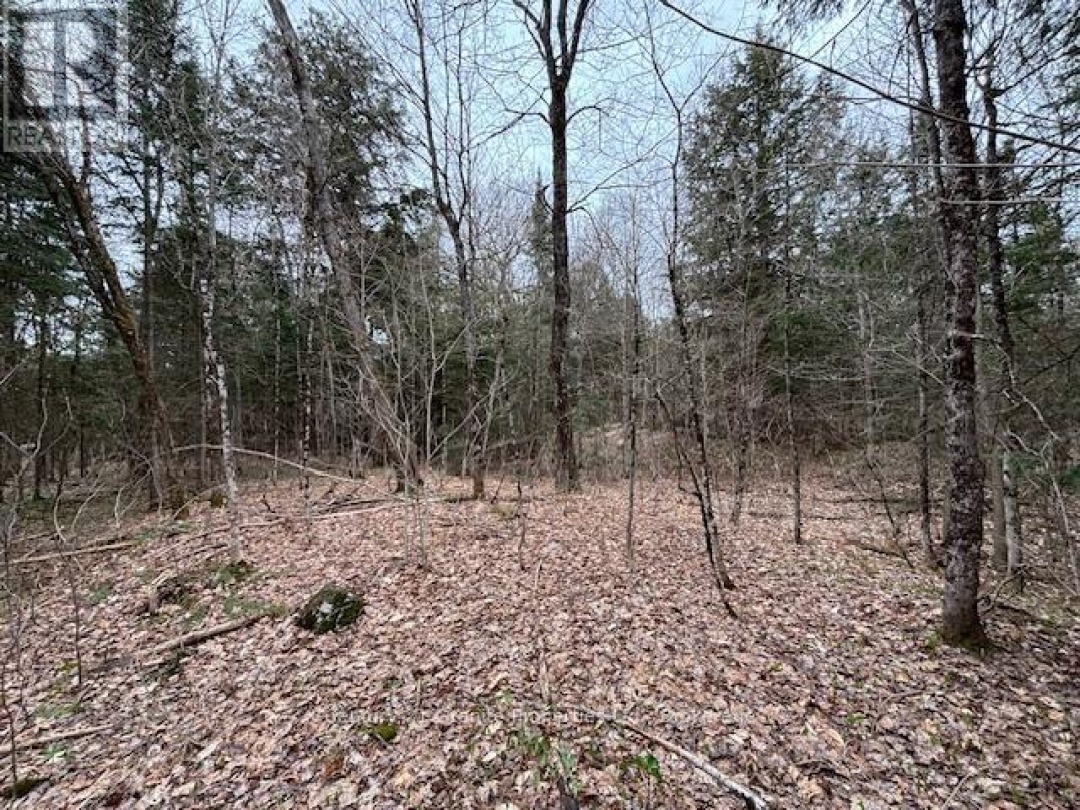 Lot 2 Loch Erne Road, McDougall