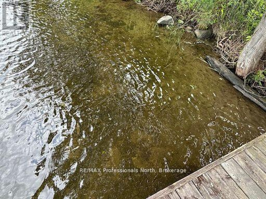 1981 HORSESHOE LAKE ROAD, Horseshoe Lake