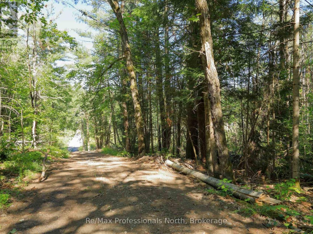 1137 BLACKMORE ROAD, 