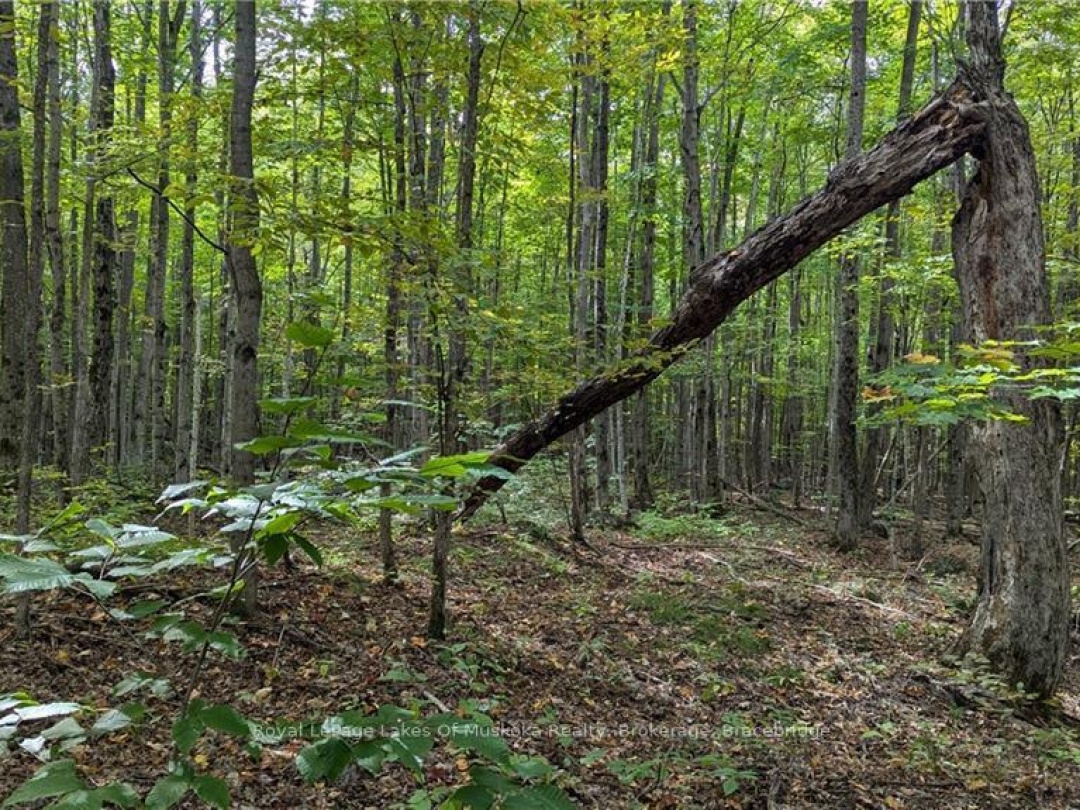 0 Mt St Louis Road, Oro-Medonte